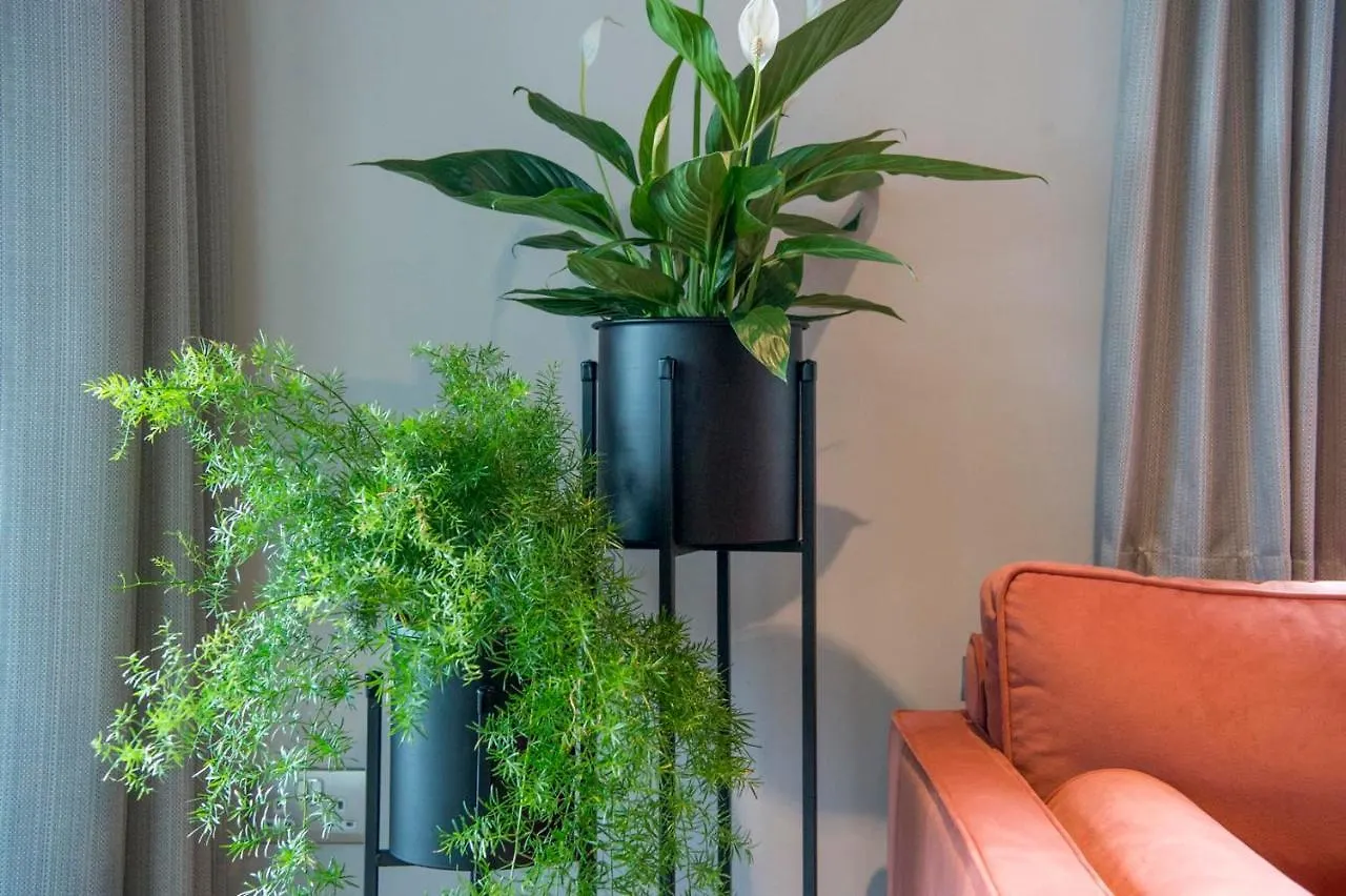 The Quadrant - The Botanical Suite York 0*,
